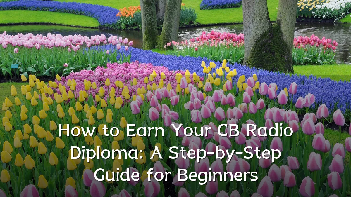 How to Earn Your CB Radio Diploma: A Step-by-Step Guide for Beginners