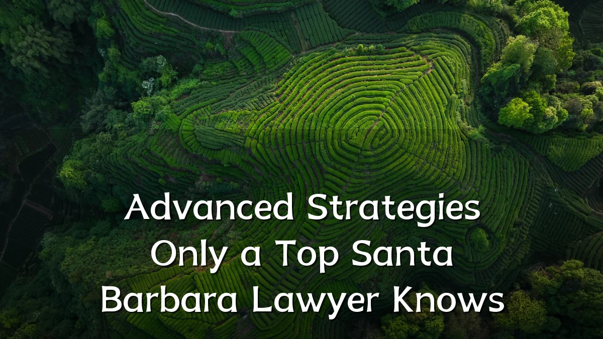 Advanced Strategies Only a Top Santa Barbara Lawyer Knows