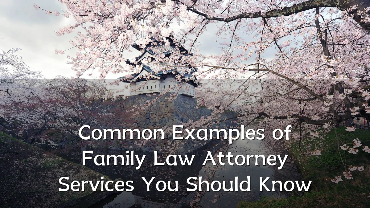 Common Examples of Family Law Attorney Services You Should Know