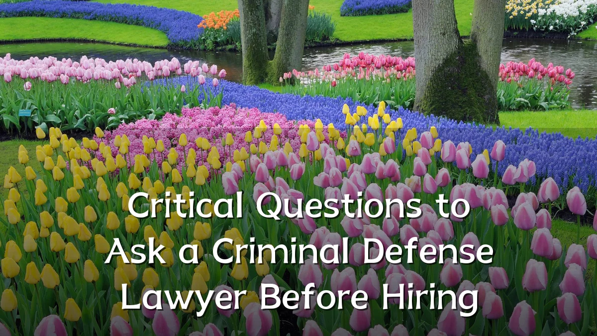 Critical Questions to Ask a Criminal Defense Lawyer Before Hiring