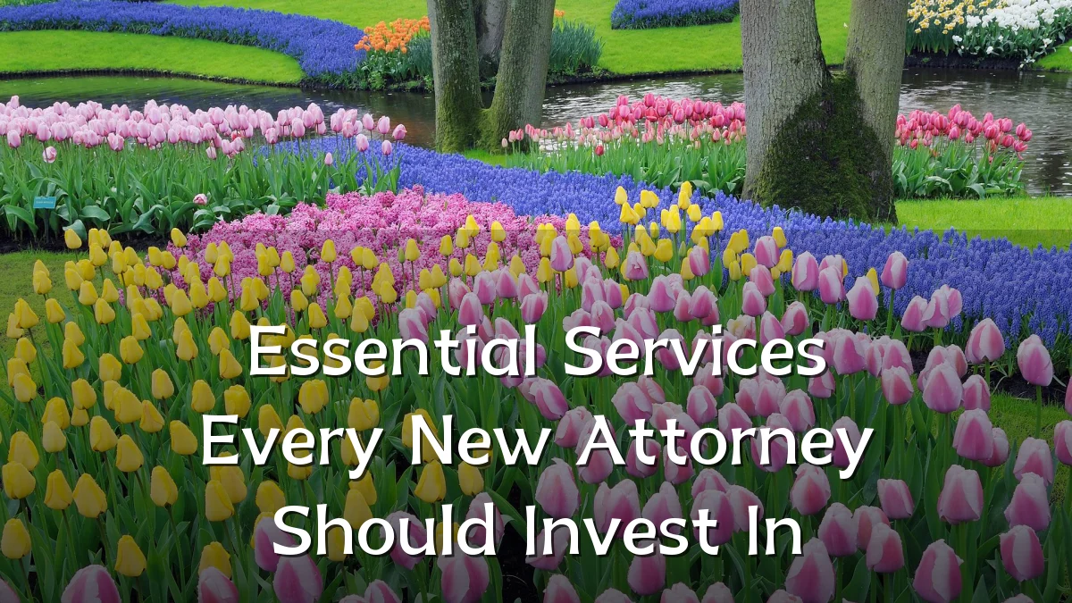 Essential Services Every New Attorney Should Invest In