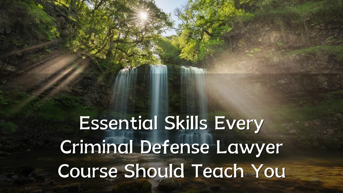 Essential Skills Every Criminal Defense Lawyer Course Should Teach You