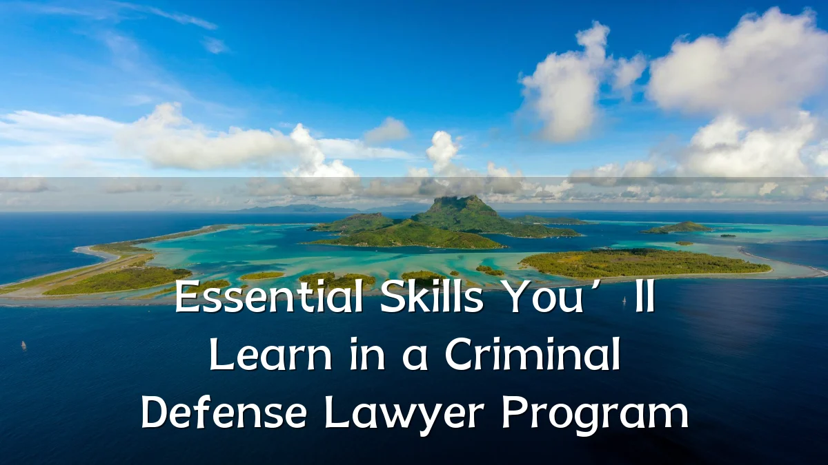 Essential Skills You’ll Learn in a Criminal Defense Lawyer Program