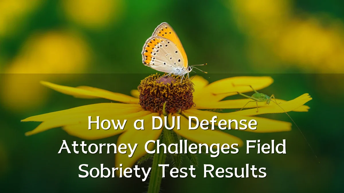 How a DUI Defense Attorney Challenges Field Sobriety Test Results