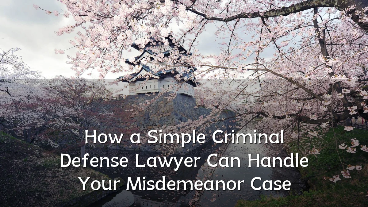 How a Simple Criminal Defense Lawyer Can Handle Your Misdemeanor Case