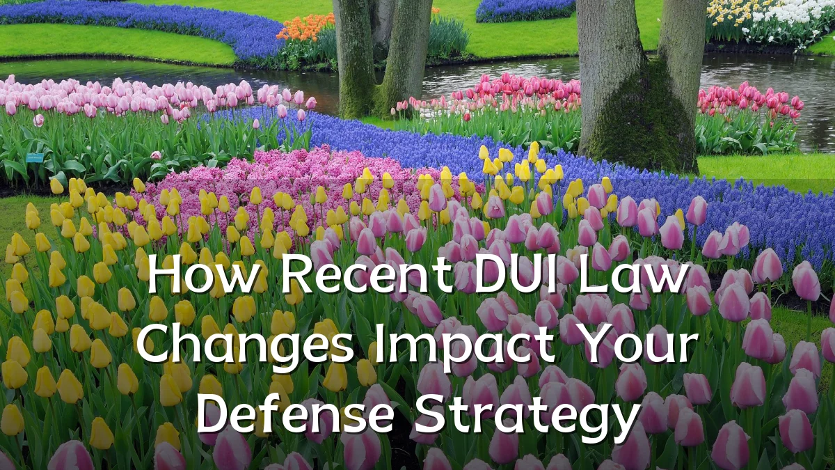 How Recent DUI Law Changes Impact Your Defense Strategy