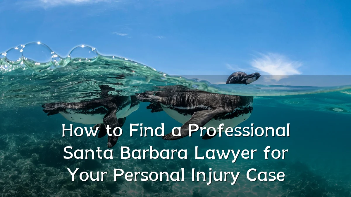 How to Find a Professional Santa Barbara Lawyer for Your Personal Injury Case