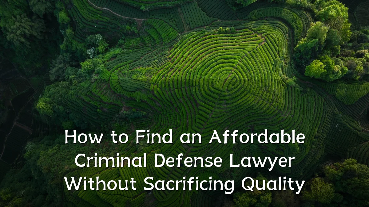 How to Find an Affordable Criminal Defense Lawyer Without Sacrificing Quality