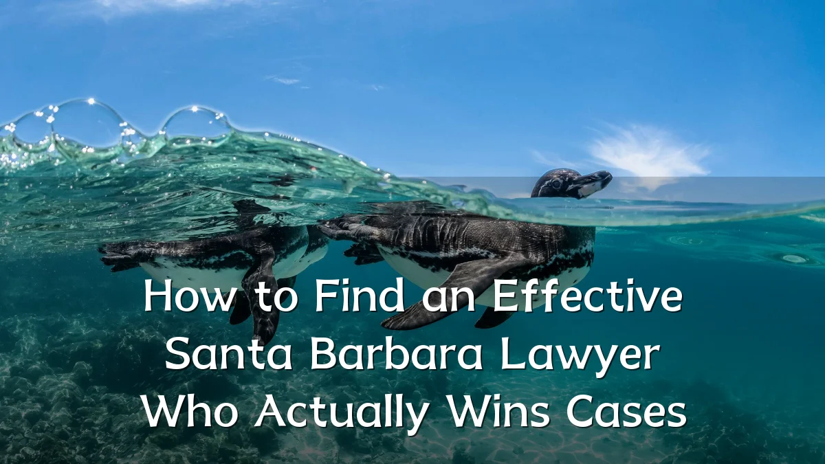 How to Find an Effective Santa Barbara Lawyer Who Actually Wins Cases