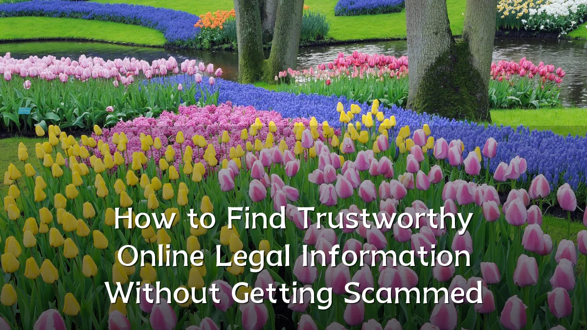 How to Find Trustworthy Online Legal Information Without Getting Scammed