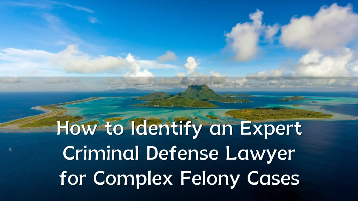 How to Identify an Expert Criminal Defense Lawyer for Complex Felony Cases