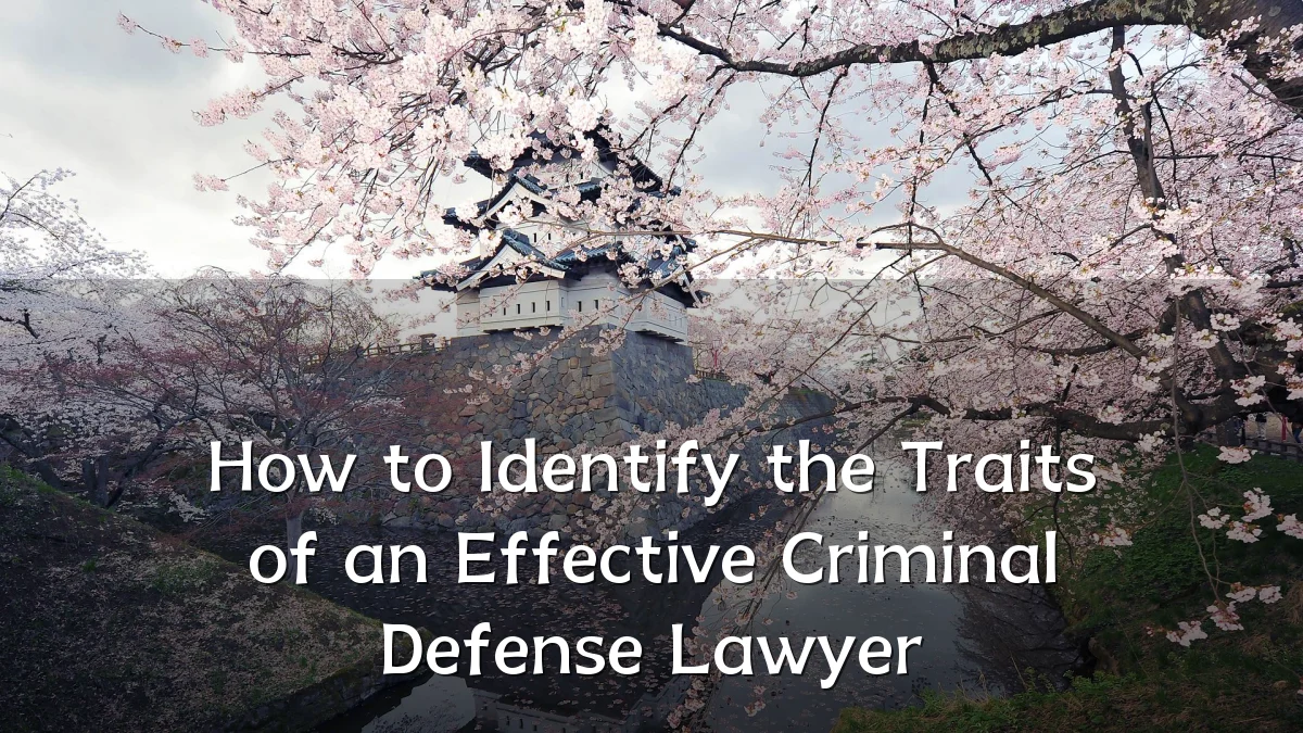 How to Identify the Traits of an Effective Criminal Defense Lawyer