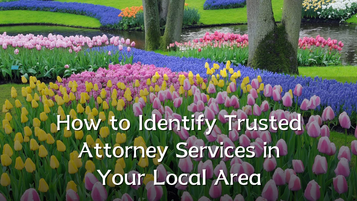 How to Identify Trusted Attorney Services in Your Local Area