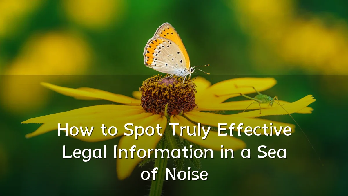 How to Spot Truly Effective Legal Information in a Sea of Noise