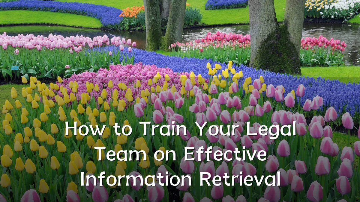 How to Train Your Legal Team on Effective Information Retrieval