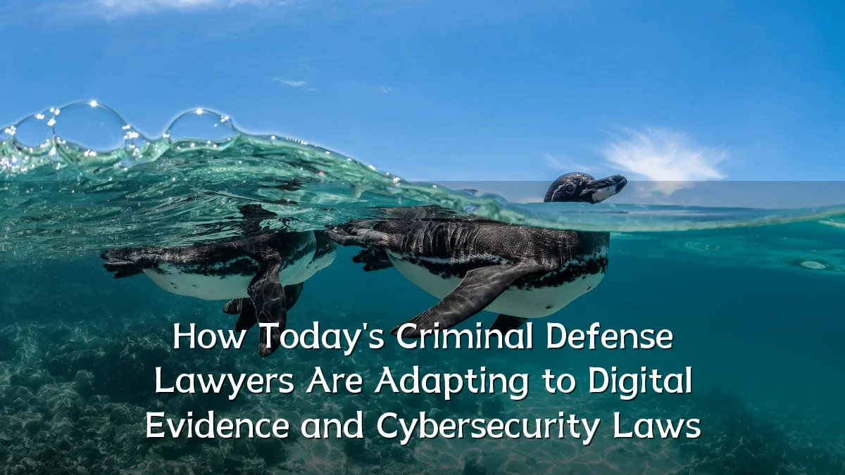 How Today's Criminal Defense Lawyers Are Adapting to Digital Evidence and Cybersecurity Laws