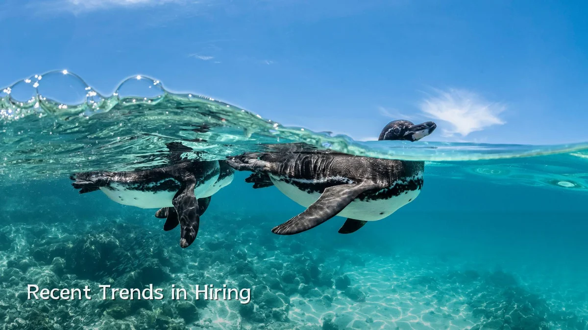 Recent Trends in Hiring