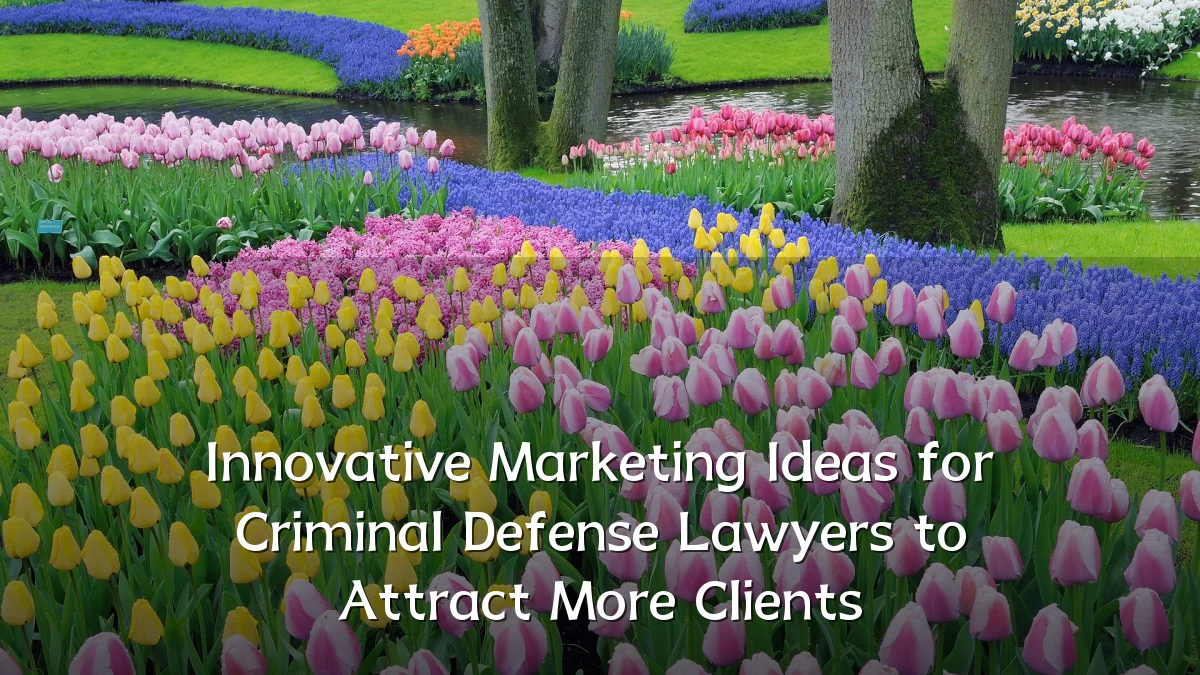 Innovative Marketing Ideas for Criminal Defense Lawyers to Attract More Clients