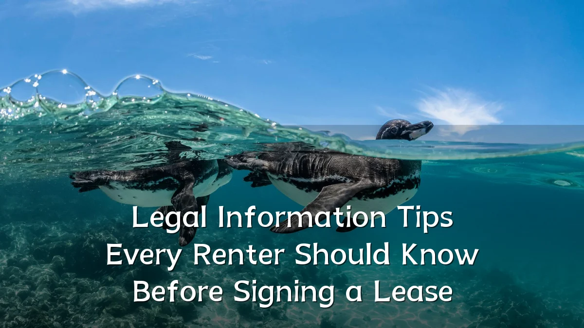 Legal Information Tips Every Renter Should Know Before Signing a Lease