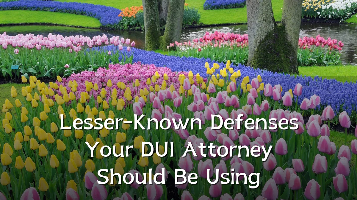 Lesser-Known Defenses Your DUI Attorney Should Be Using