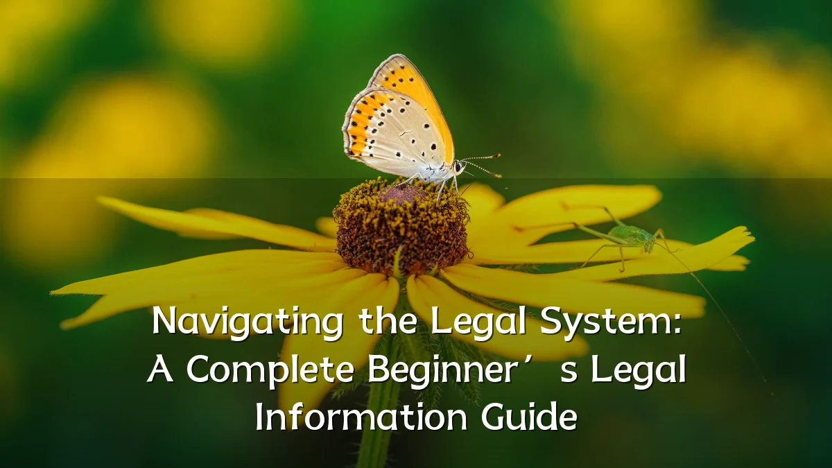 Navigating the Legal System: A Complete Beginner’s Legal Information Guide