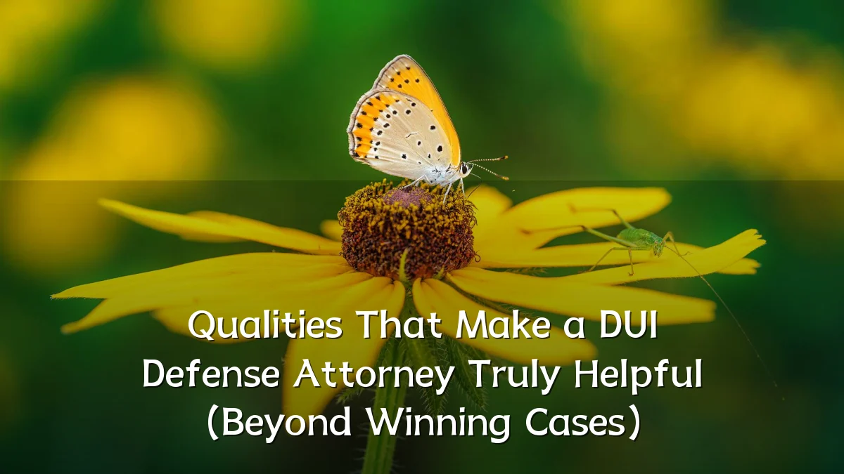Qualities That Make a DUI Defense Attorney Truly Helpful (Beyond Winning Cases)