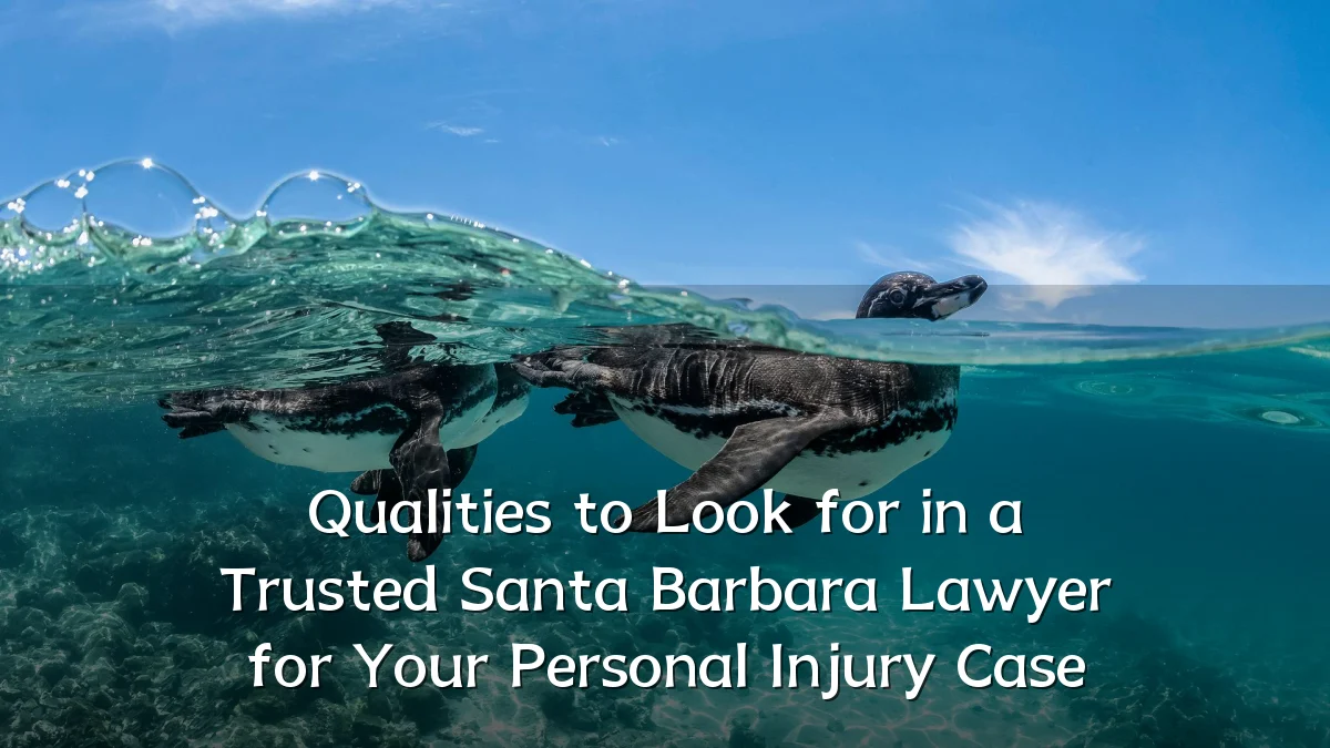 Qualities to Look for in a Trusted Santa Barbara Lawyer for Your Personal Injury Case