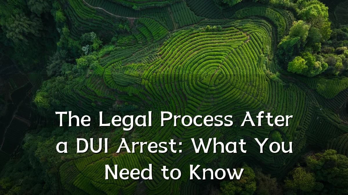 The Legal Process After a DUI Arrest: What You Need to Know