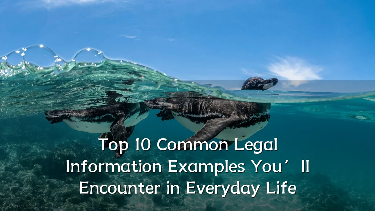 Top 10 Common Legal Information Examples You’ll Encounter in Everyday Life