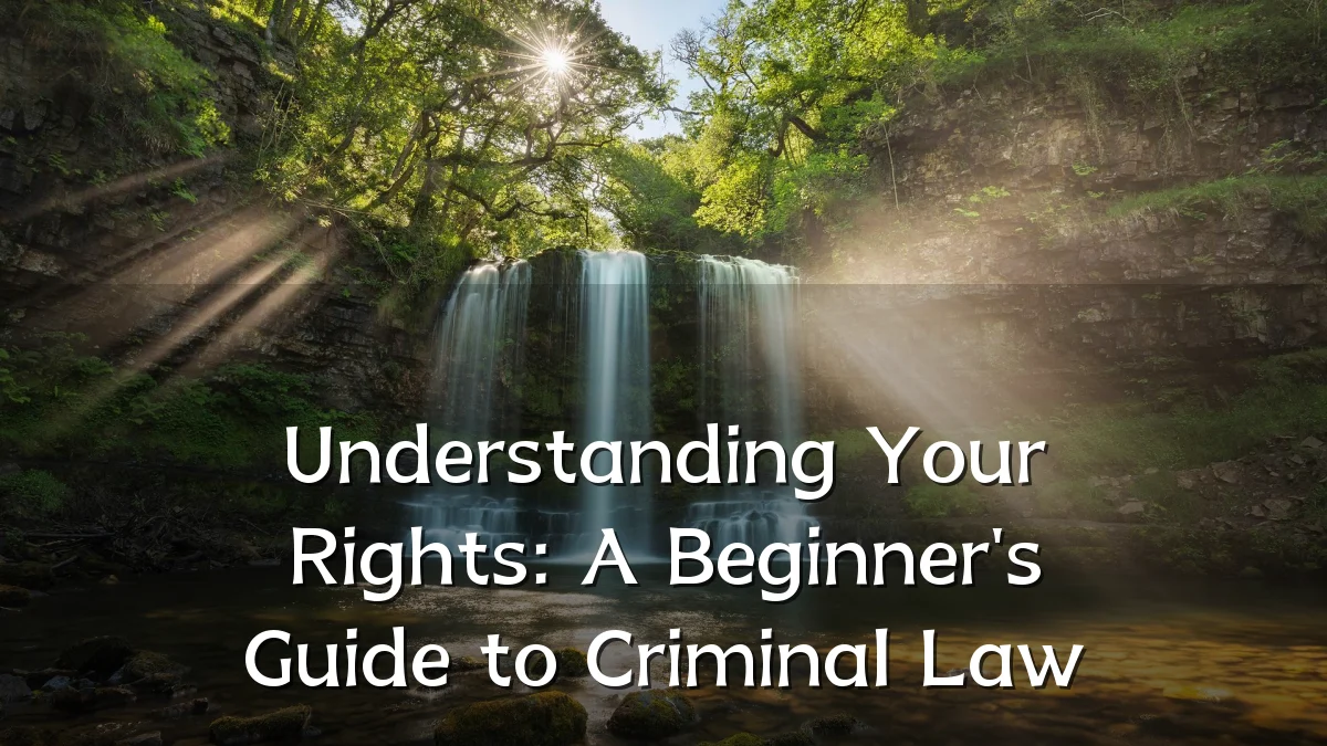 Understanding Your Rights: A Beginner's Guide to Criminal Law