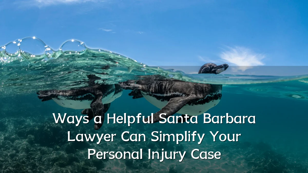 Ways a Helpful Santa Barbara Lawyer Can Simplify Your Personal Injury Case