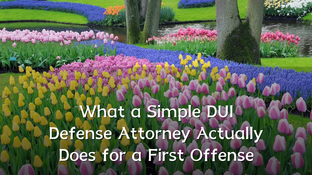 What a Simple DUI Defense Attorney Actually Does for a First Offense
