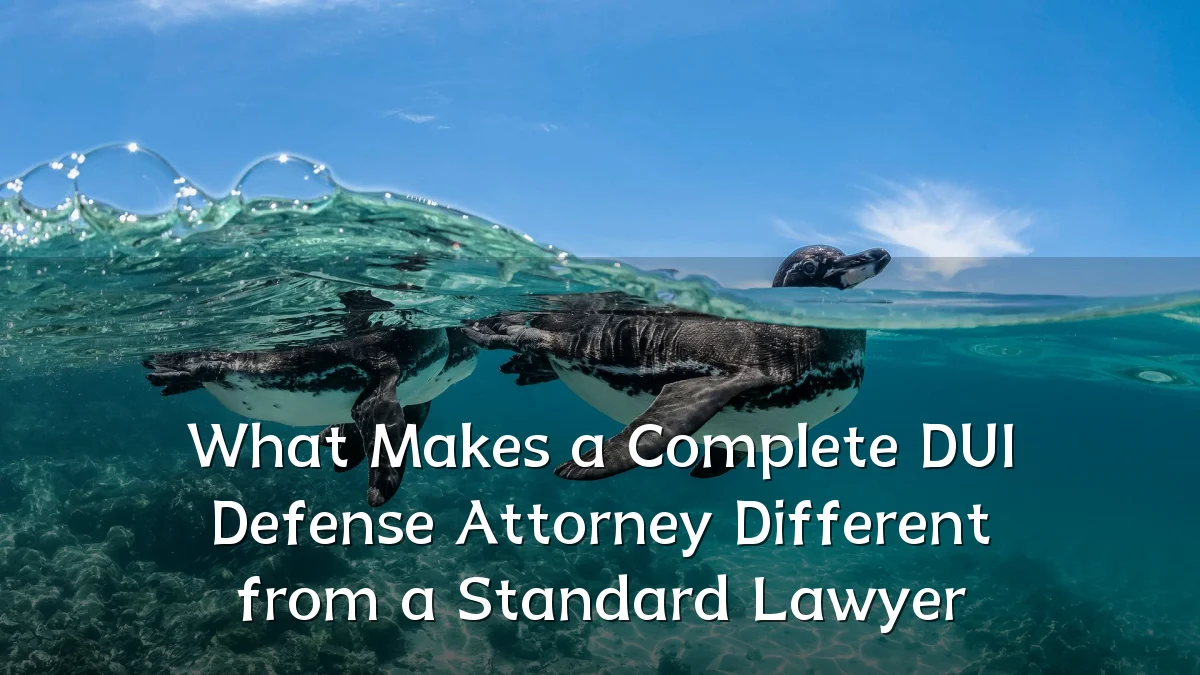 What Makes a Complete DUI Defense Attorney Different from a Standard Lawyer