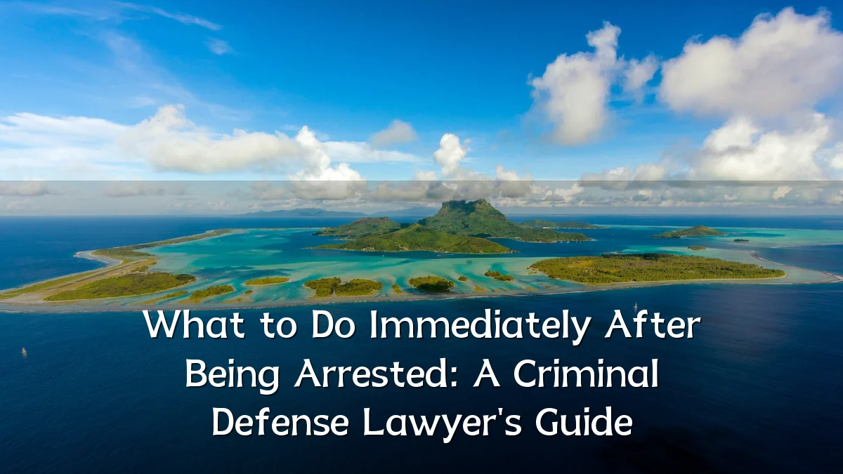 What to Do Immediately After Being Arrested: A Criminal Defense Lawyer's Guide