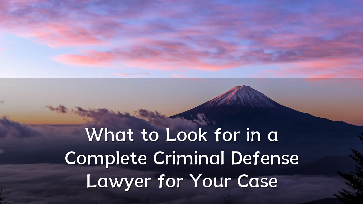 What to Look for in a Complete Criminal Defense Lawyer for Your Case
