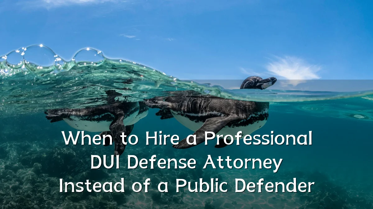 When to Hire a Professional DUI Defense Attorney Instead of a Public Defender