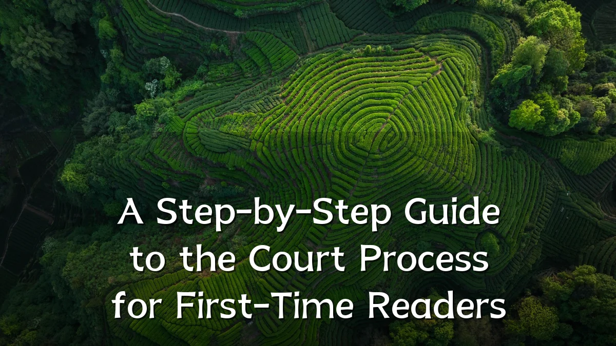 A Step-by-Step Guide to the Court Process for First-Time Readers