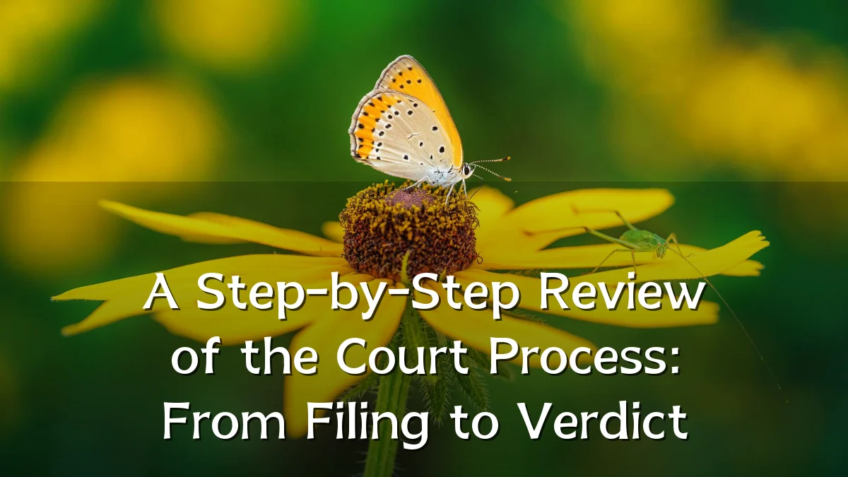 A Step-by-Step Review of the Court Process: From Filing to Verdict