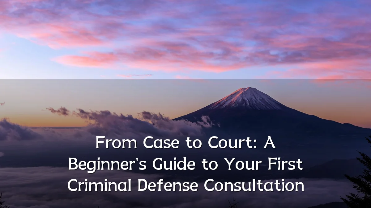 From Case to Court: A Beginner's Guide to Your First Criminal Defense Consultation