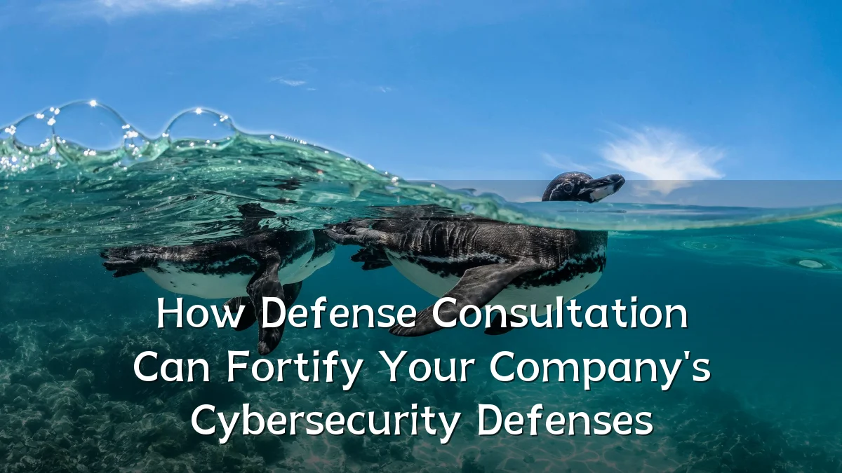 How Defense Consultation Can Fortify Your Company's Cybersecurity Defenses