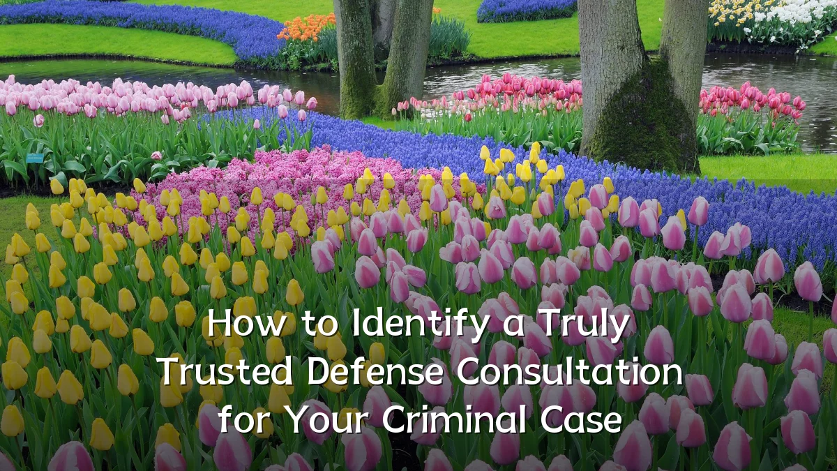 How to Identify a Truly Trusted Defense Consultation for Your Criminal Case
