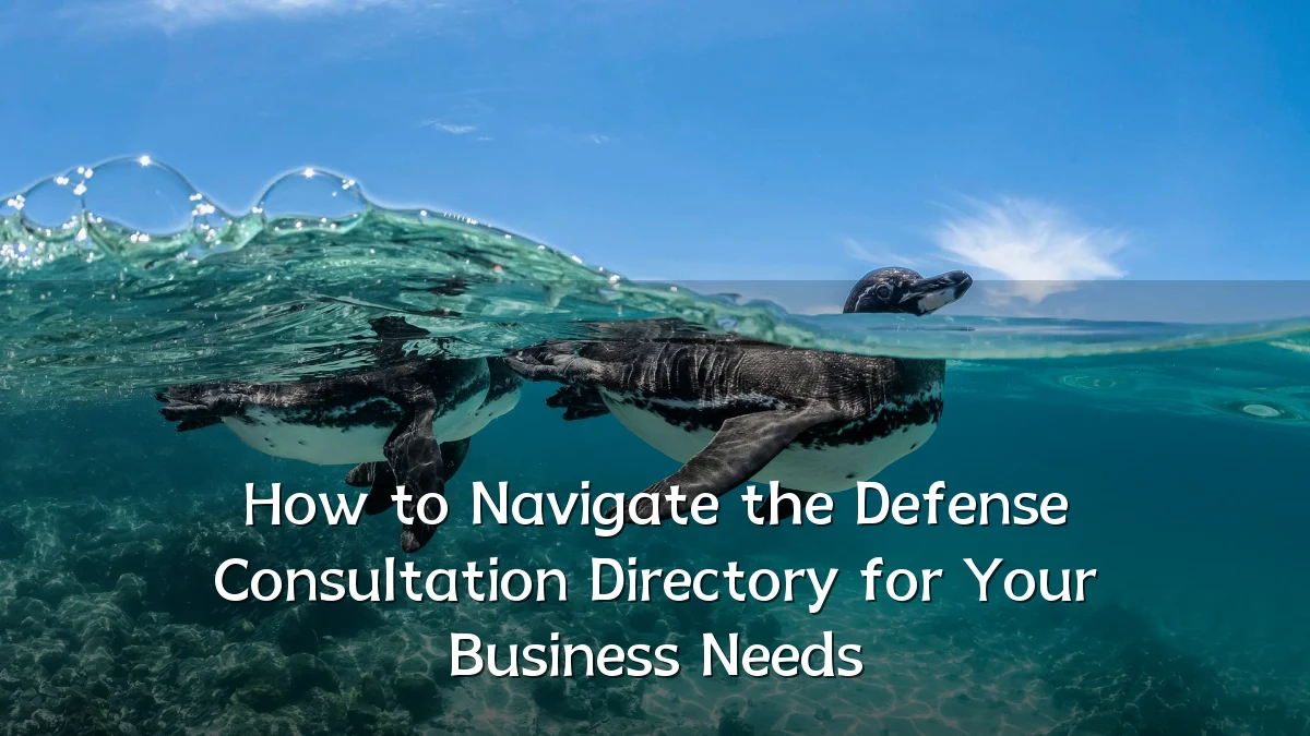 How to Navigate the Defense Consultation Directory for Your Business Needs