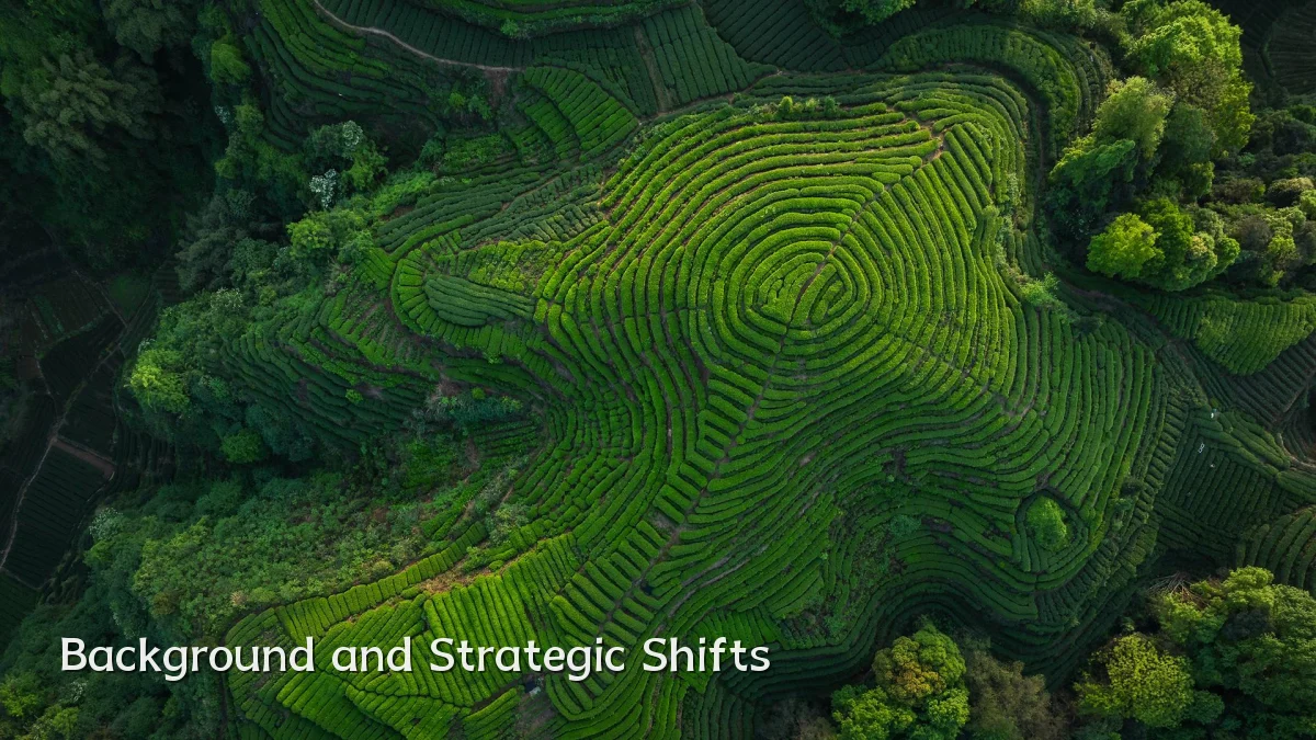 Background and Strategic Shifts