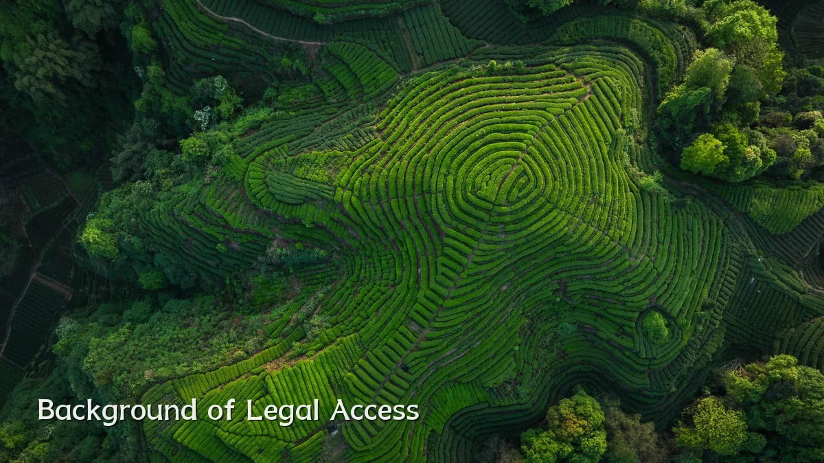 Background of Legal Access