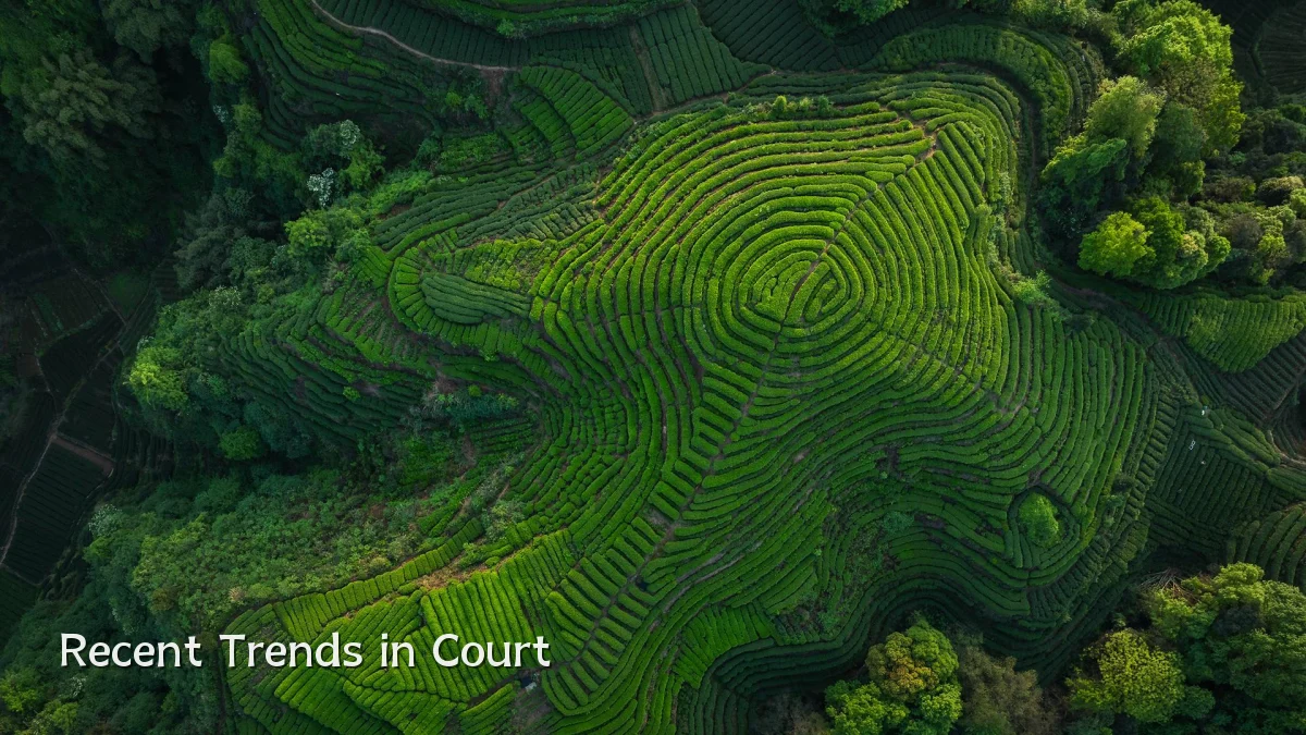 Recent Trends in Court