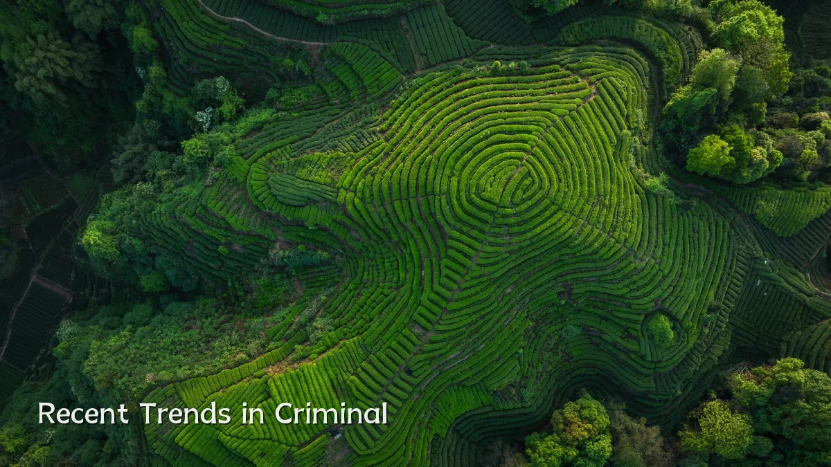 Recent Trends in Criminal