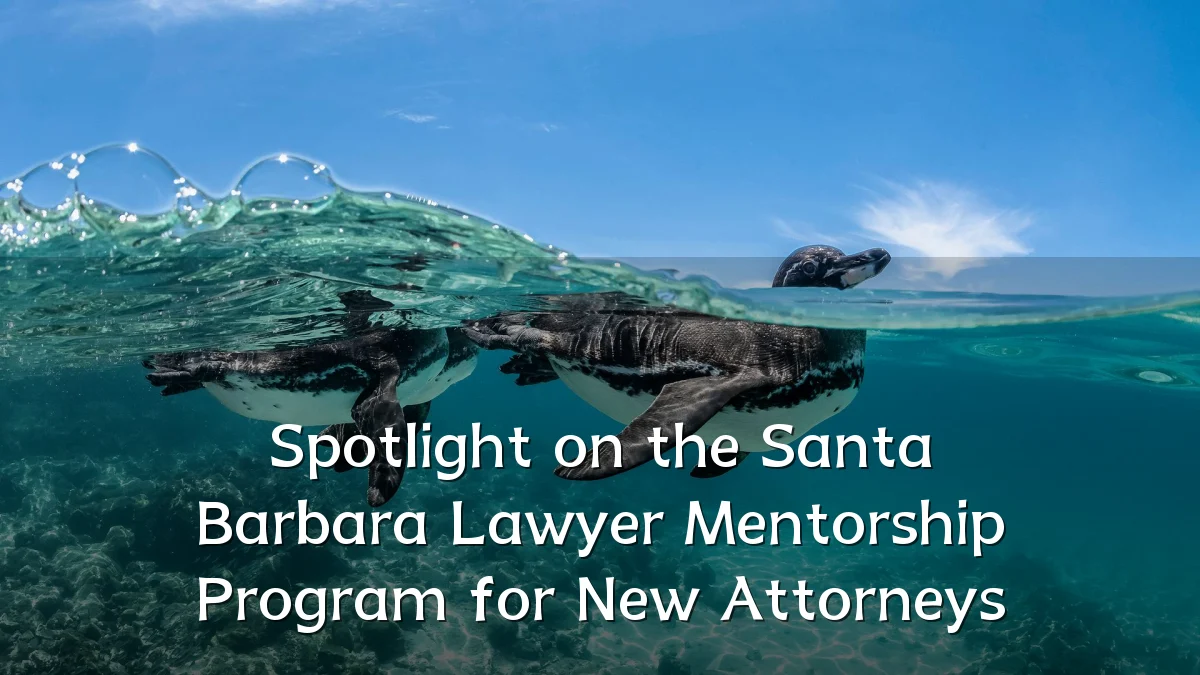 Spotlight on the Santa Barbara Lawyer Mentorship Program for New Attorneys