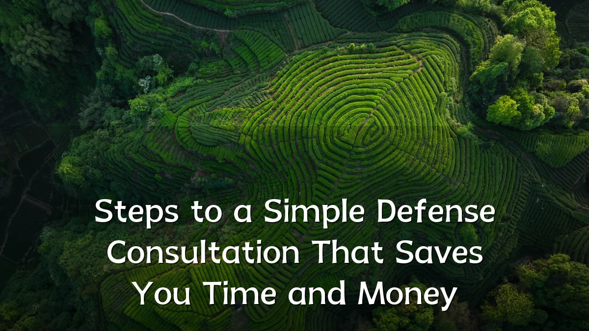 Steps to a Simple Defense Consultation That Saves You Time and Money