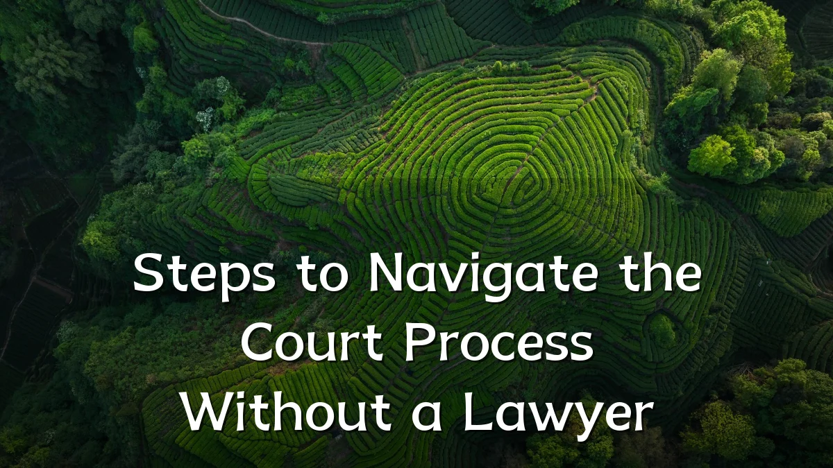 Steps to Navigate the Court Process Without a Lawyer