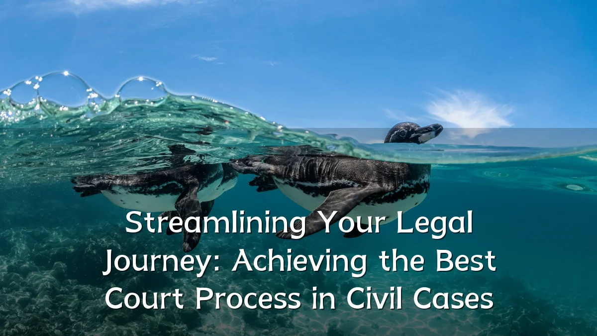 Streamlining Your Legal Journey: Achieving the Best Court Process in Civil Cases